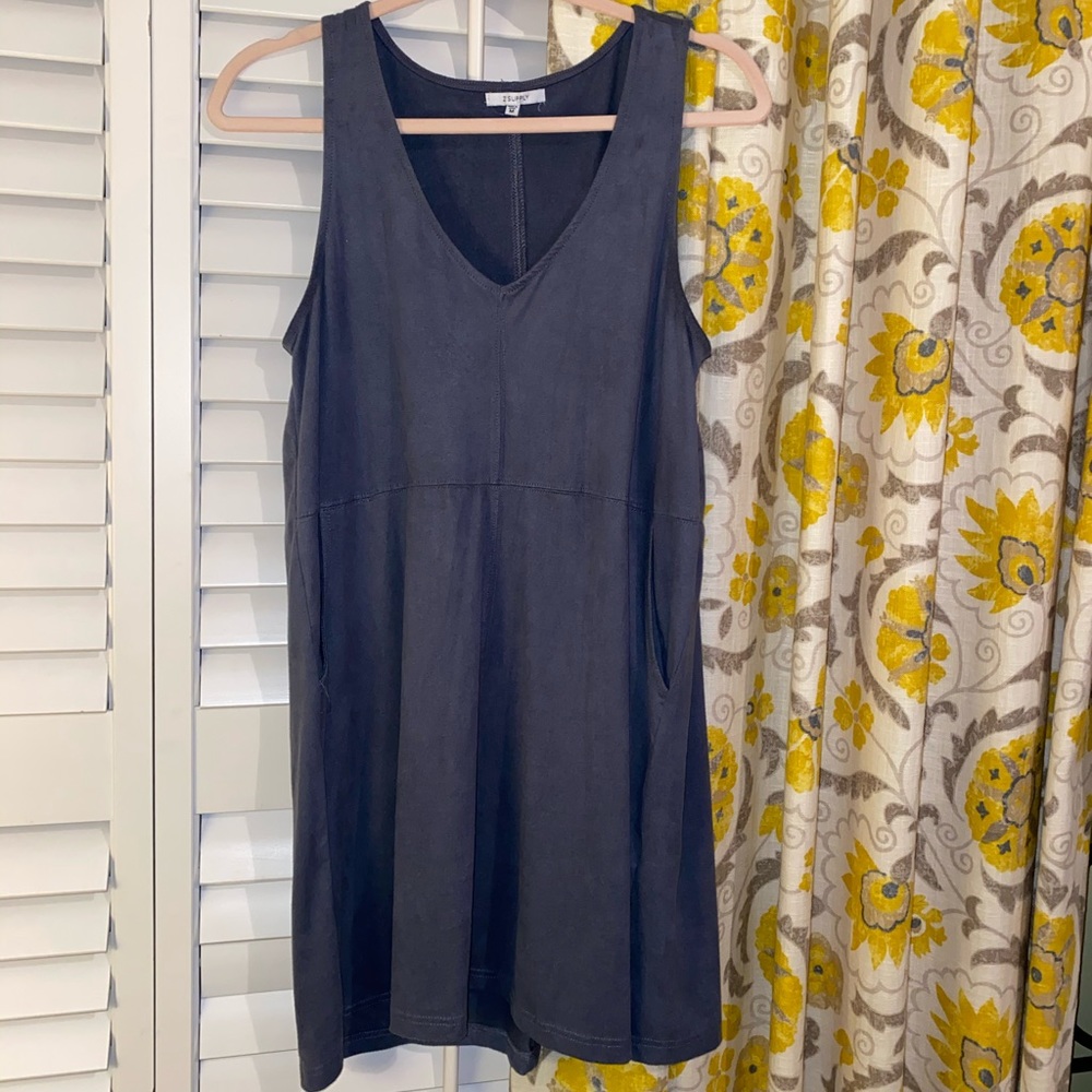 Blue Suede Z Supply Dress